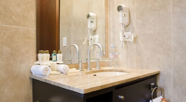 Номер Deluxe Hotel Stubel Suites & Cafe