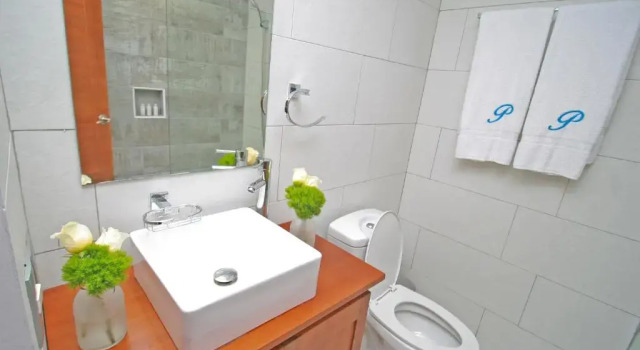 Одноместный номер Standard Palmetto Hotel