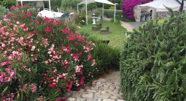 Ecoresort Casa degli Ulivi, Reserva ahora Hotel Hoteles en Porto Azzurro con piscina, Piscina