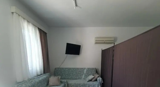 Vivis house