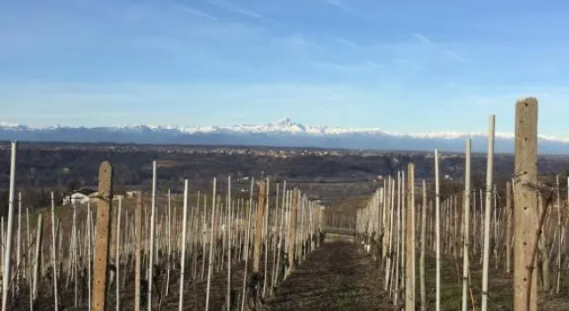 Appartamento nelle Langhe, Buchen Sie Ferienwohnung Novello Langhe