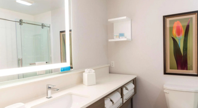 Двухместный номер Standard Hampton Inn Holland