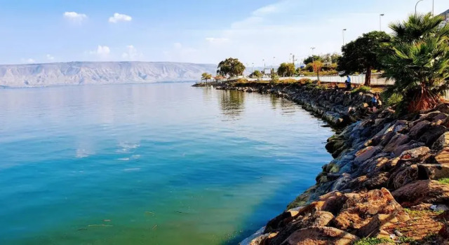 Boutique Lake Kinneret Apartment, Reserva ahora Apartamento Apartamentos en Distrito norte de Israel, Apartamento