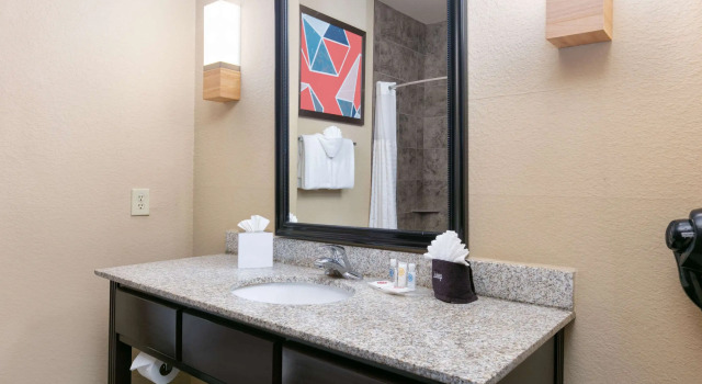 Двухместный люкс Comfort Suites Arlington - Entertainment District