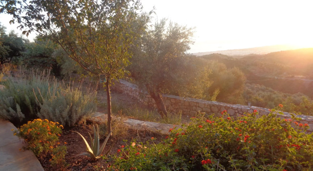 Апартаменты Menina Farm Kalamata Countryside
