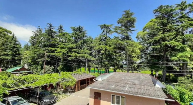 Трёхместный номер Comfort House Gochua 9