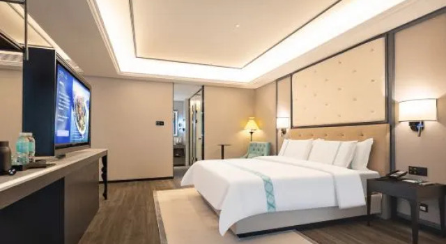 Люкс Deluxe Xana Hotelle (Dalian Jinzhou Railway Station Wuyue Life Plaza)