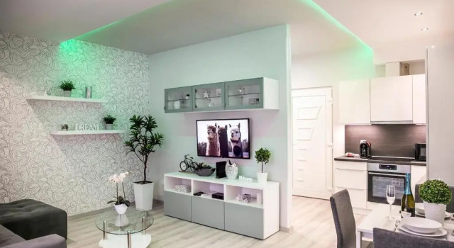Downtown Dream Apartmans