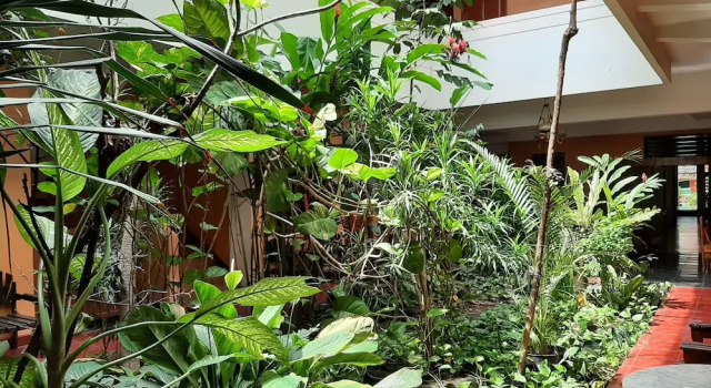 Двухместный номер Deluxe Hotel Dana Jogja