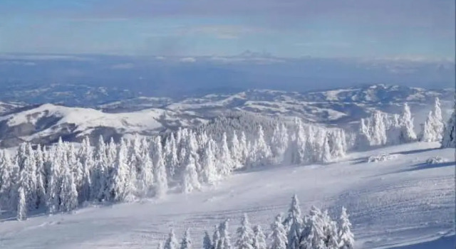 Апартаменты Apartment A6 Kopaonik