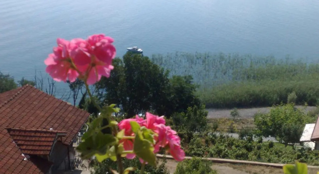 Sonce Guest House