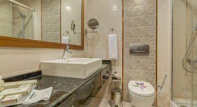 Номер Standard с частичным видом Buyuk Abant Hotel