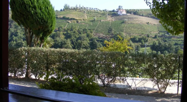 Шале с красивым видом из окна Solar Quinta da Portela - Douro