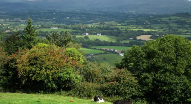 Шале с 3 комнатами Mount Brandon Cottages Graiguenamanagh