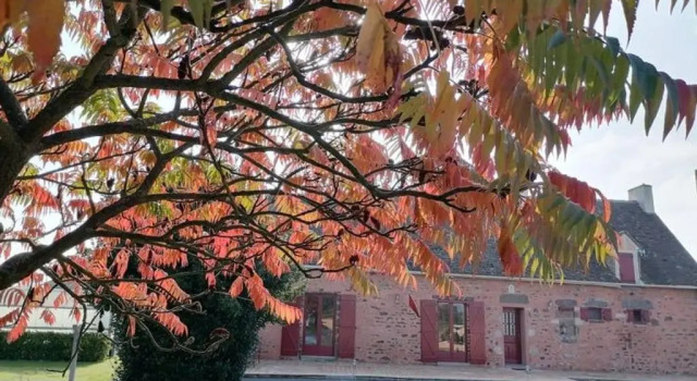 Gîte Moitron-sur-Sarthe, 4 pièces, 6 personnes - FR-1-410-334, Rezervovat Hotel Moitron-sur-Sarthe 