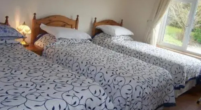 Evergreen Malahide B&B, Rezervați Bed and Breakfast North Dublin Leinster