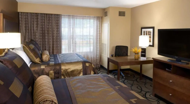 Четырёхместный номер Standard ClubHouse Hotel and Suites
