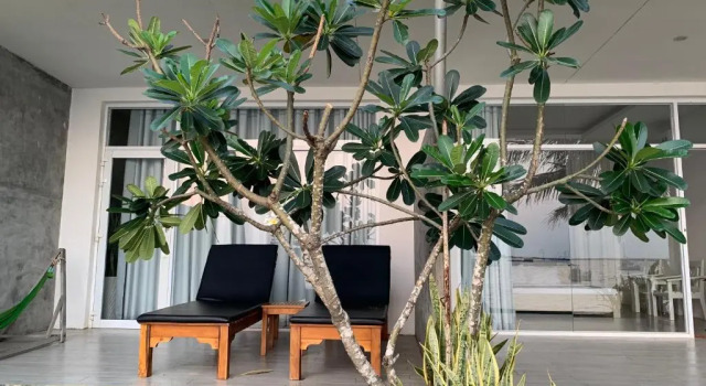Студия Мансарда с видом на море HS Beach House Phu Quoc Island