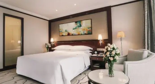 Двухместный номер Standard с видом на город Sheraton Nanjing Kingsley Hotel