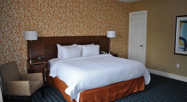 Двухместный люкс Fairfield Inn & Suites by Marriott Albany Downtown