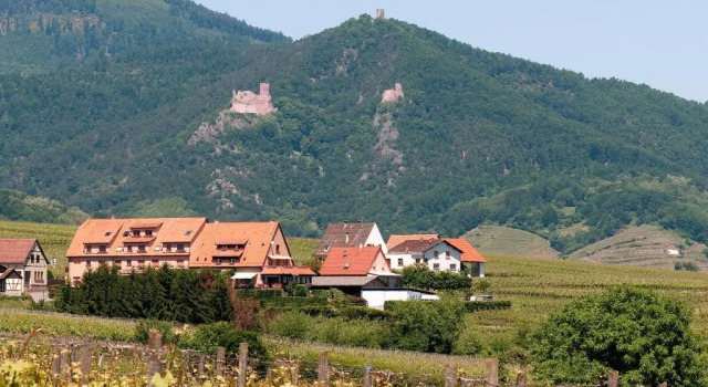 Номер Standard Hotel Restaurant Au Riesling