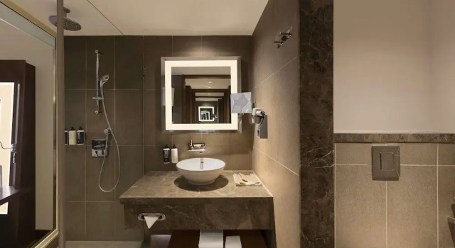 Двухместный номер Standard с видом на бассейн Novotel New Delhi Aerocity