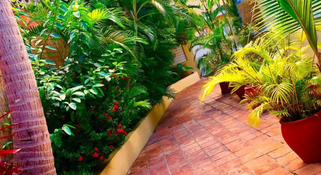 Двухместный номер Standard Casa del Caribe Inn