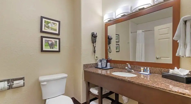 Четырёхместный люкс Comfort Inn & Suites Near Six Flags & Medical Center