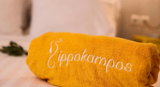 Трёхместный номер Economy с видом на море Ippokampos Beachfront