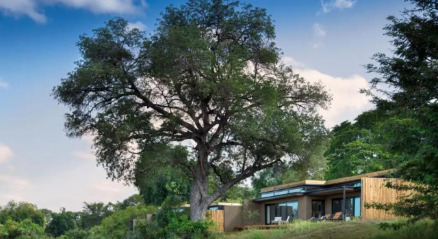 Люкс с видом на реку Lion Sands River Lodge