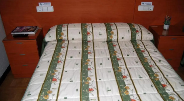 Standard huone Pensión Araba