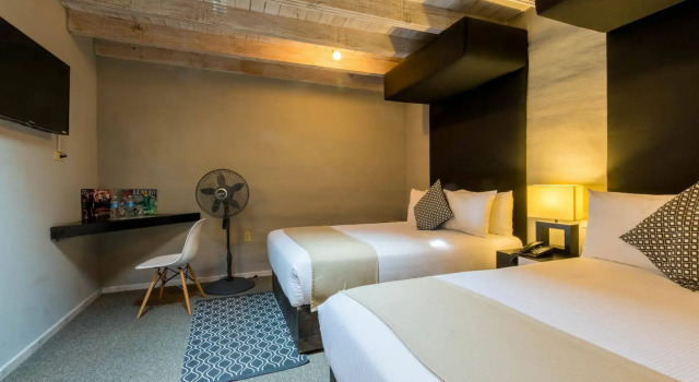Hotel Damiana Boutique