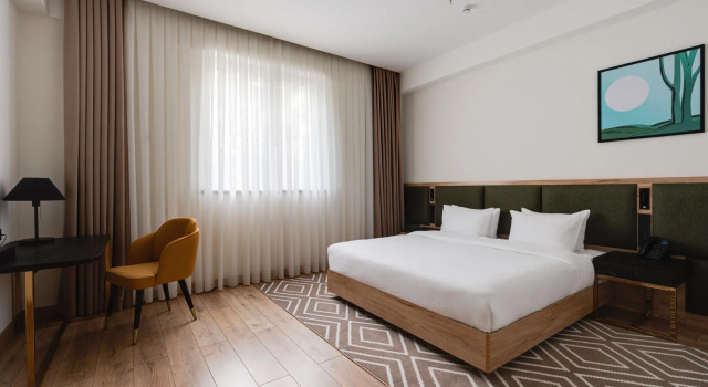Standard Double room THE ELEMENTS HOTEL