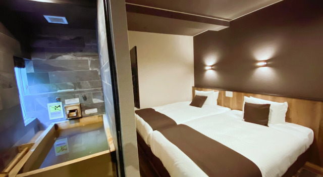 Номер Standard LiVEMAX RESORT Hakone Ashinoko