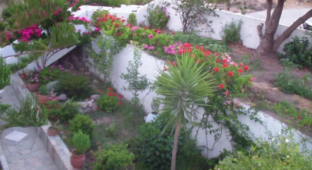 Creta Vassakis Studios