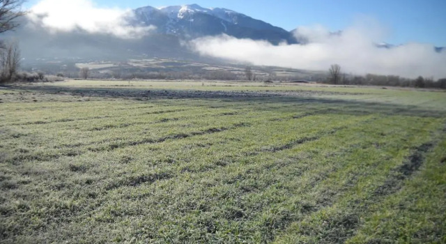 Апартаменты Standard Mas Meya