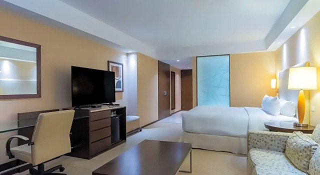 Люкс Hilton Mendoza