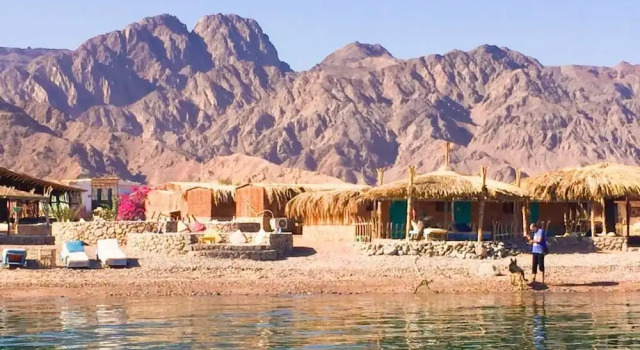 Номер Standard Sahara Beach Camp
