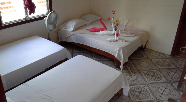 Cabinas Miss Miriam 2, Rezerwuj Hotel Tortuguero Limon