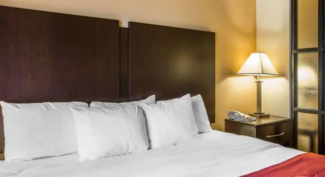 Номер Standard Comfort Suites Macon Northwest