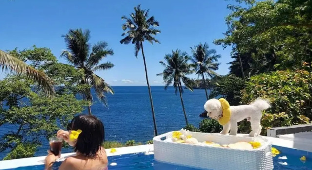 Номер Standard Bintana Sa Paraiso