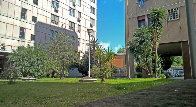 EcoLodge CoPPoLa GuestHouse, Buchen Sie Pension Rom Latium, in der Nähe von Libia