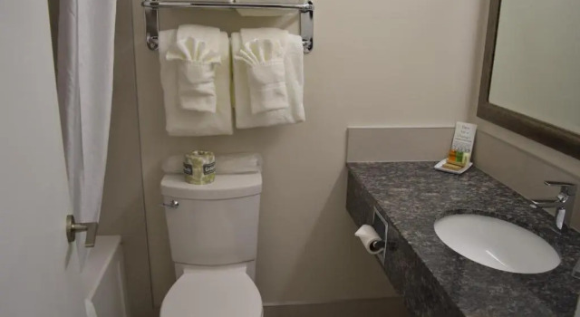 Номер Standard c 1 комнатой Guest House Inn & Suites