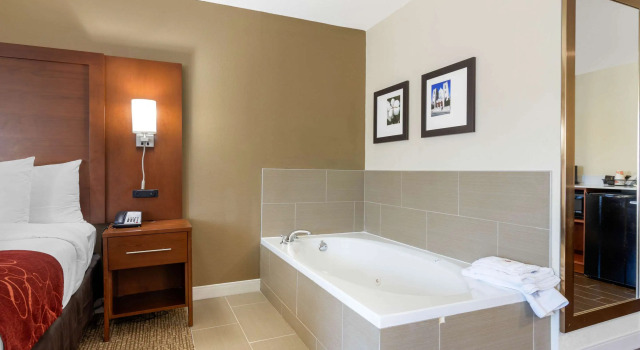 Двухместный люкс Comfort Inn & Suites Macon West