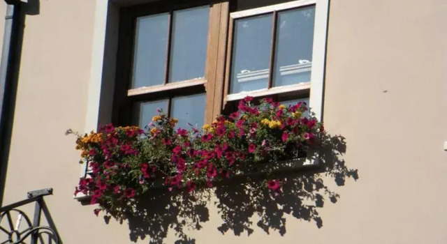 Coachmans Townhouse Hotel, Book Hotel Hotels in Kerry with Parking, Parking