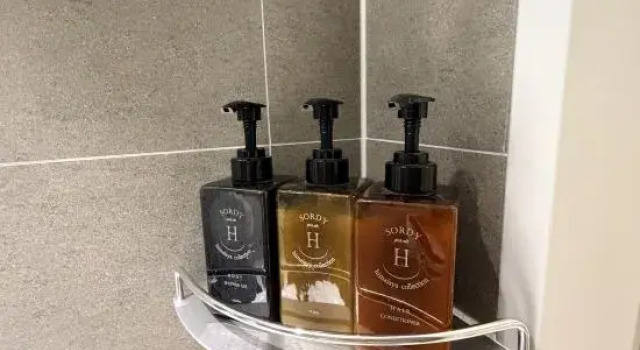 Номер Standard Hotel Regen
