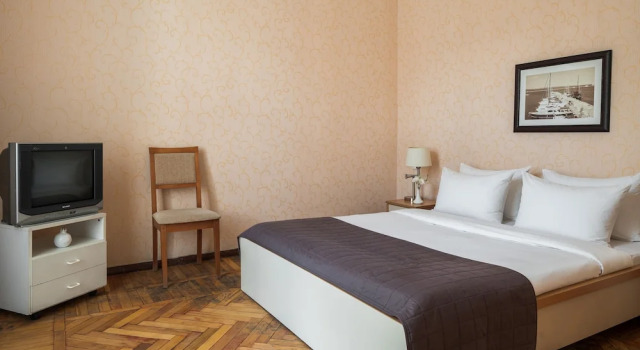 Полулюкс Tsentralnaya Hotel