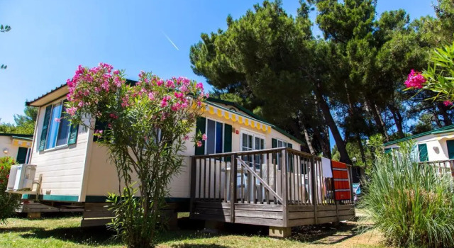Arena Stupice Camping Homes