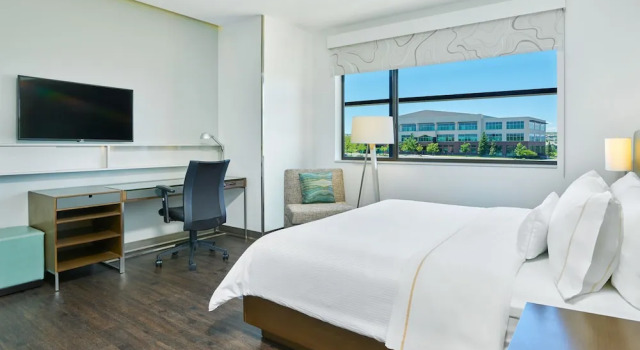 Двухместный люкс Executive с видом на горы Element by Marriott Denver Park Meadows
