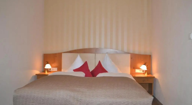 Двухместный номер Standard Alpina Hotel